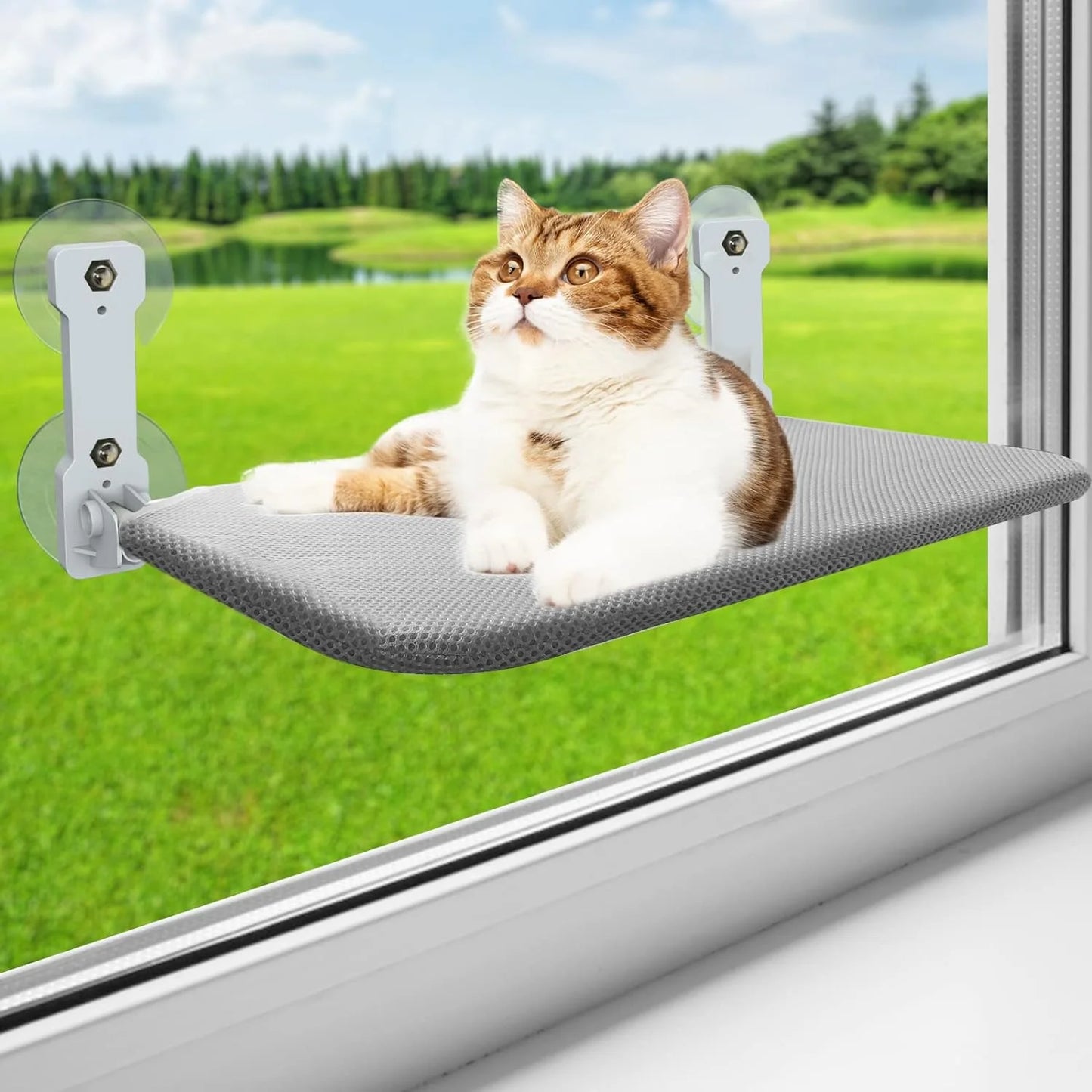 Cat Window Perch, Kitten Hammock & Shelf for Wall ,Foldable Pet Beds for Indoor Cat, Gray